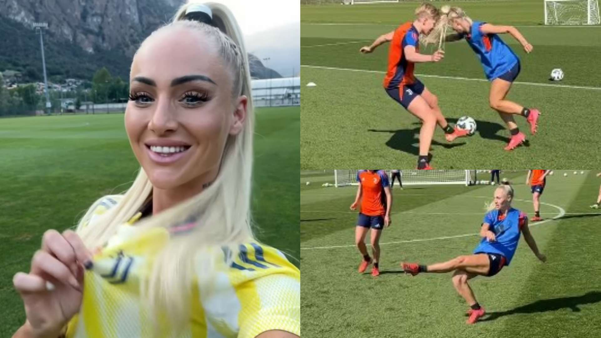 的比分握手 的比分握手